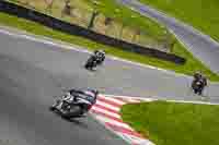 Lower Group Green Bikes